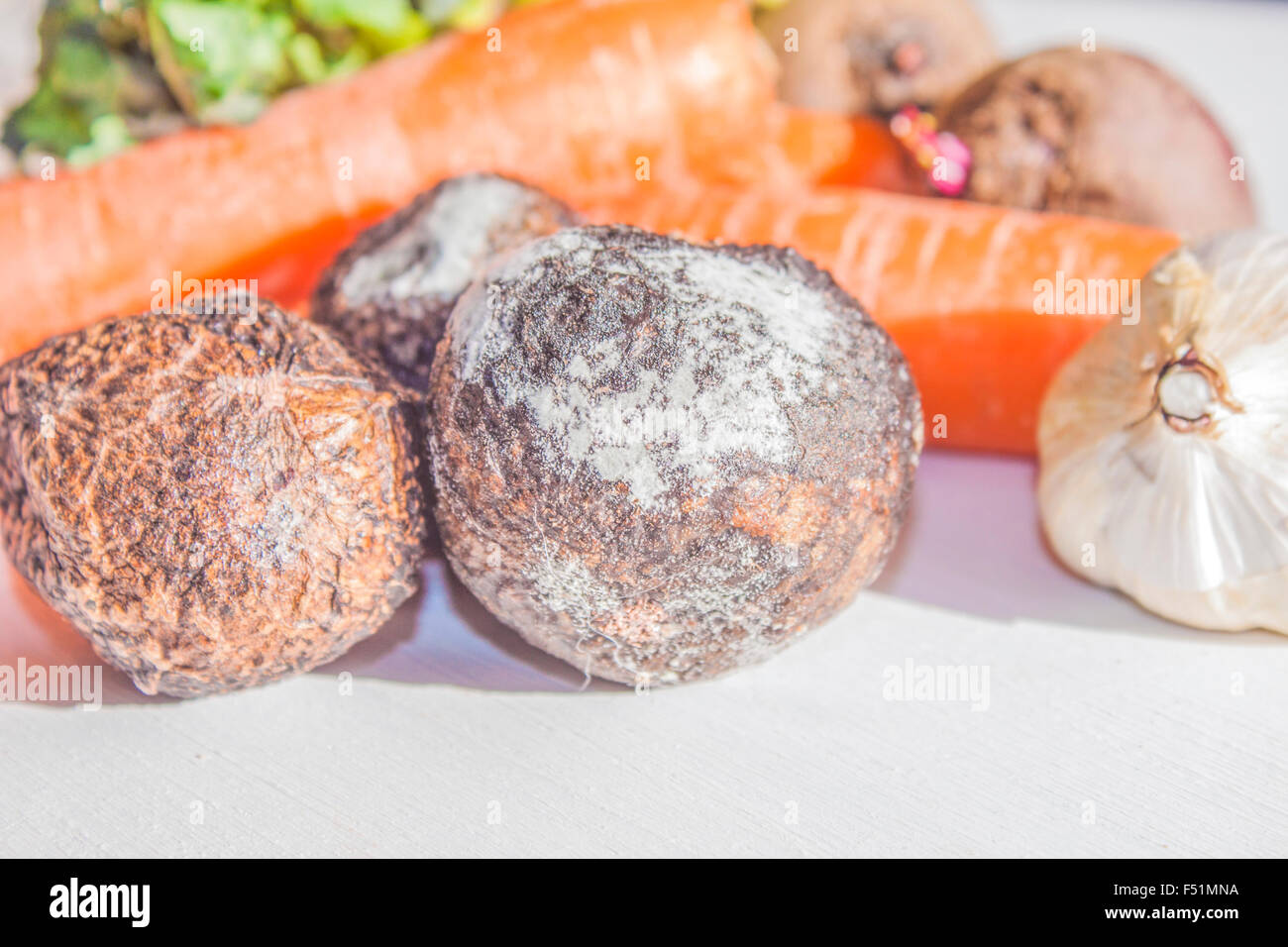 Rotten vegetables hires stock photography and images Alamy