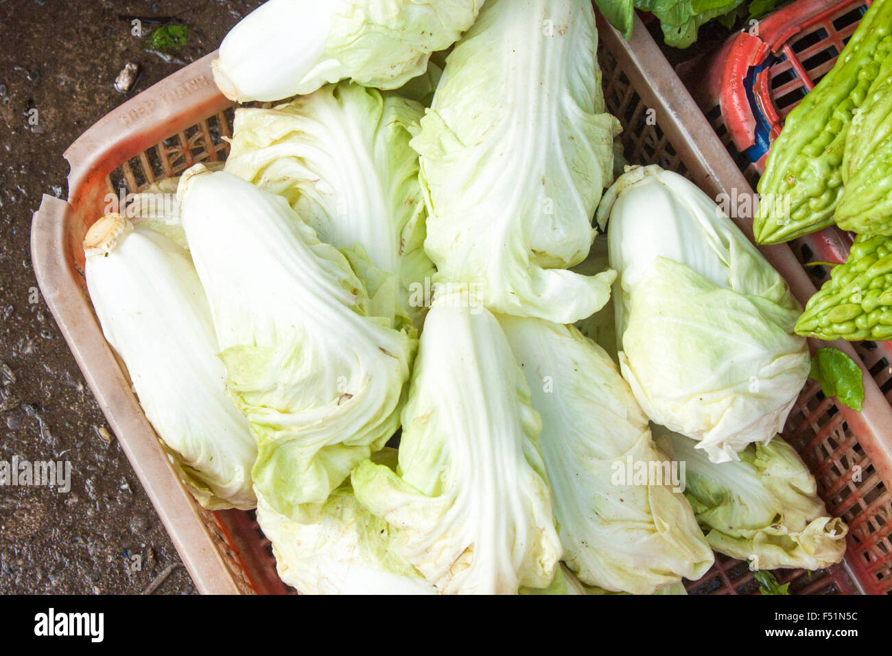 A lot of fresh, chinese cabbage, Brassica rapa,  at a market in Phu quoc, Vietnam Stock Photo