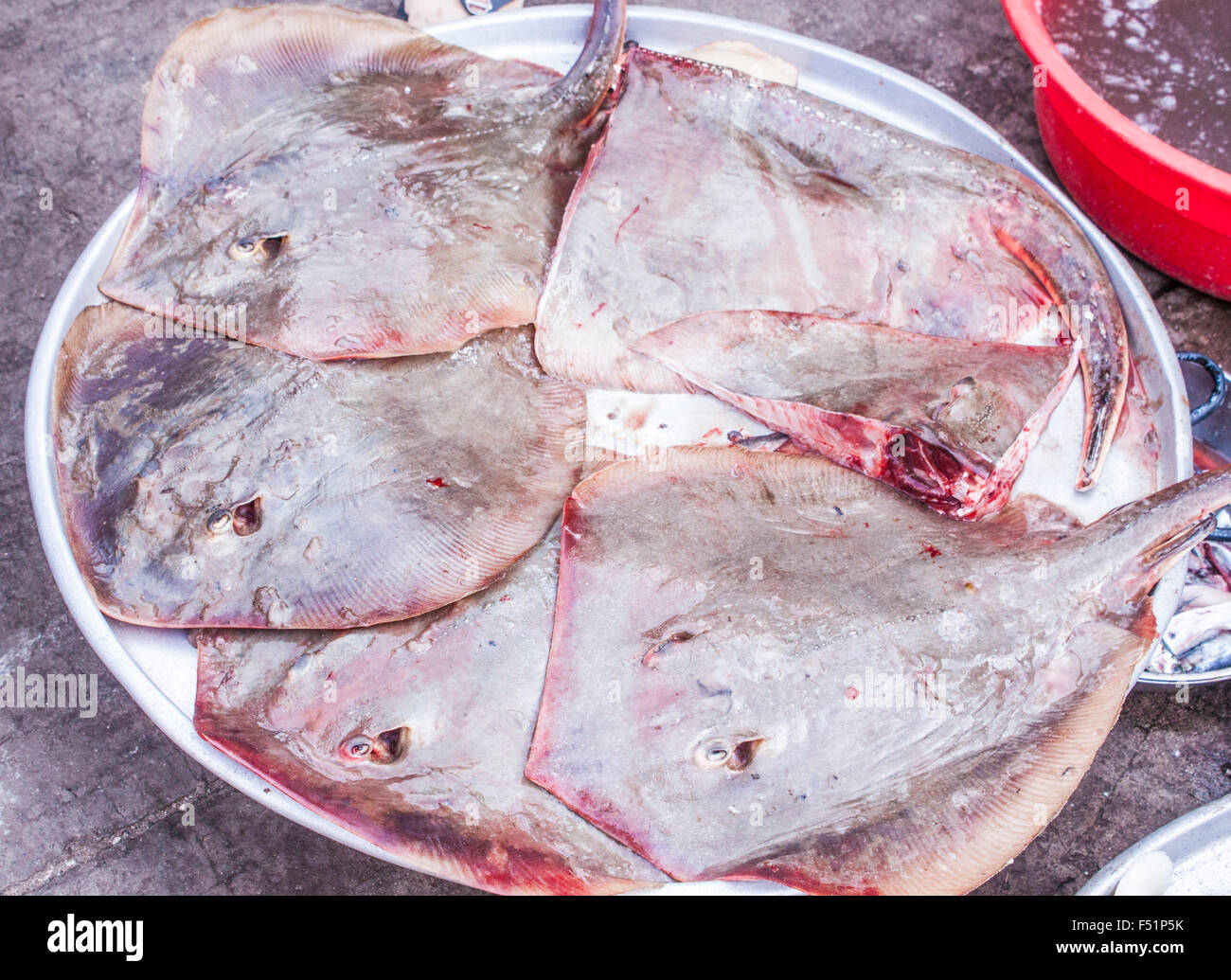 A lot of flounder flatfish, at a market, in phu quoc, Vietnam Stock