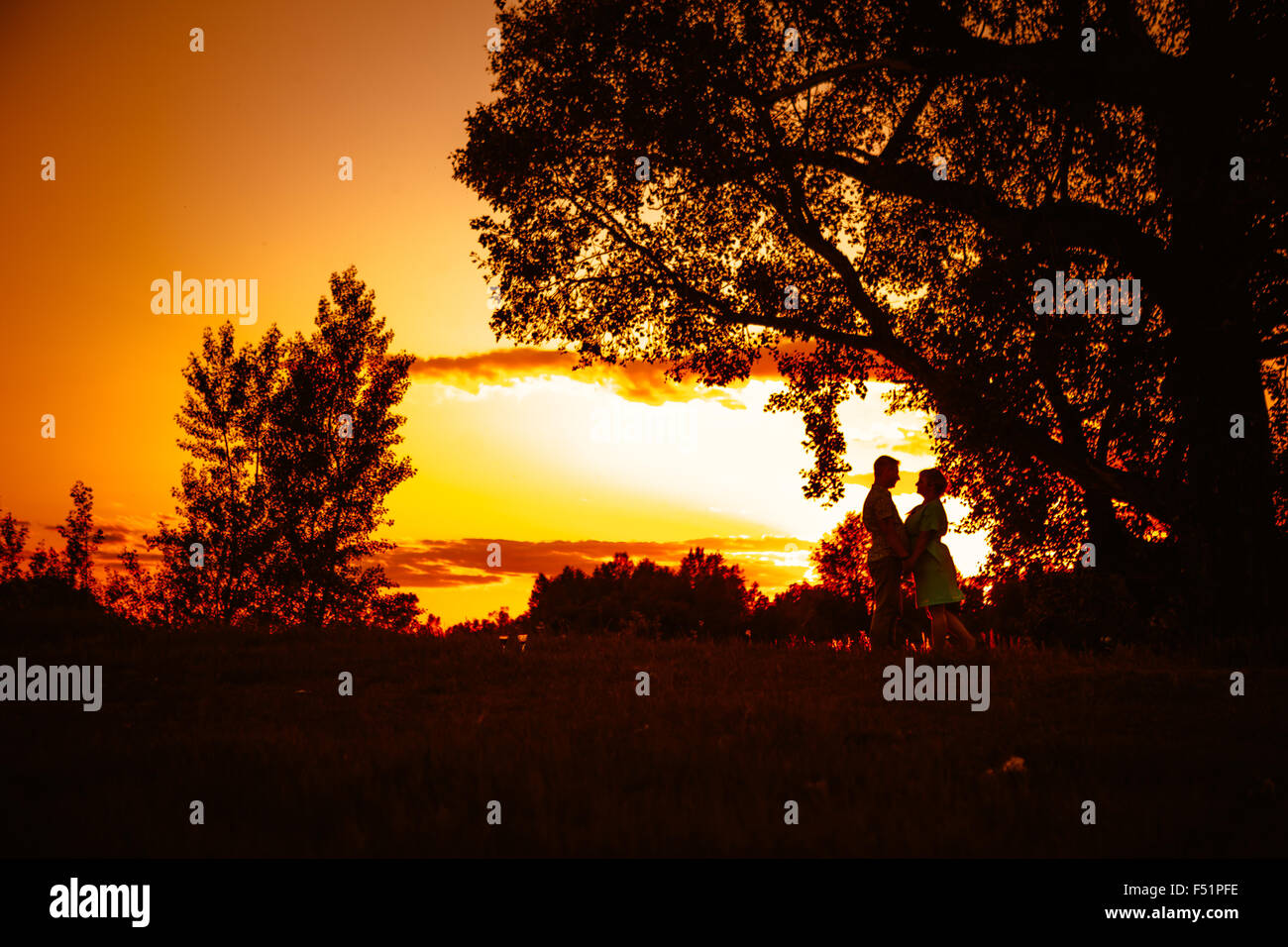 Romantic couple standing and kissing on background summer meadow sunset ...