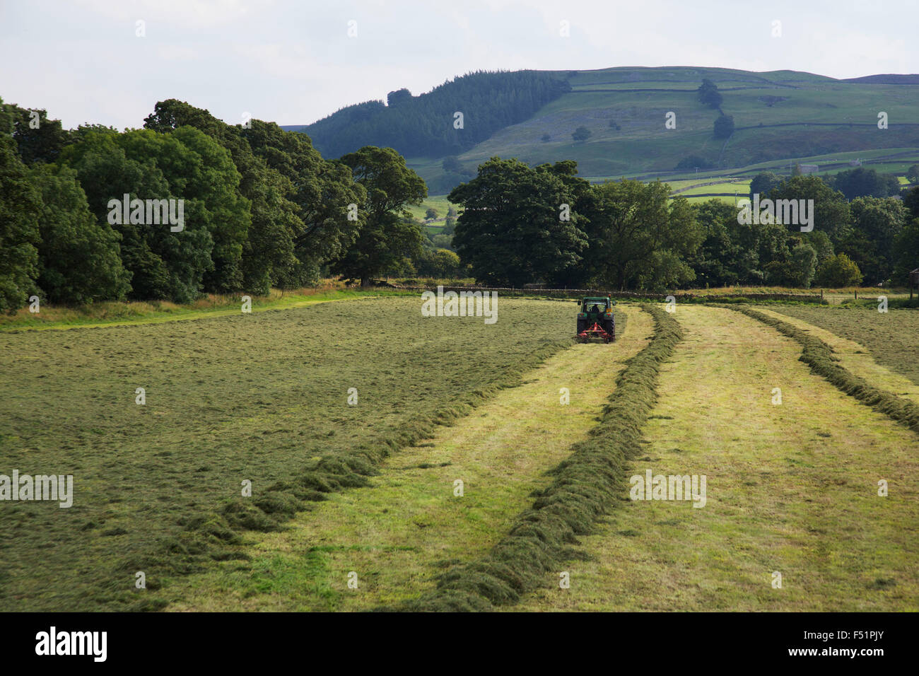 Farmer using a tractor to gather hay on the last day before rain is expected in his field in Reeth at Swaledale. Yorkshire, England, UK. This is a farming area where rural living and the countryside is at the centre of life in this county. Swaledale runs broadly from west to east. To the south and east of the ridge a number of smaller dales. Swaledale is a typical limestone Yorkshire dale, with its narrow valley-bottom road, green meadows and fellside fields, white sheep and dry stone walls on the glacier-formed valley sides, and darker moorland skyline. Stock Photo