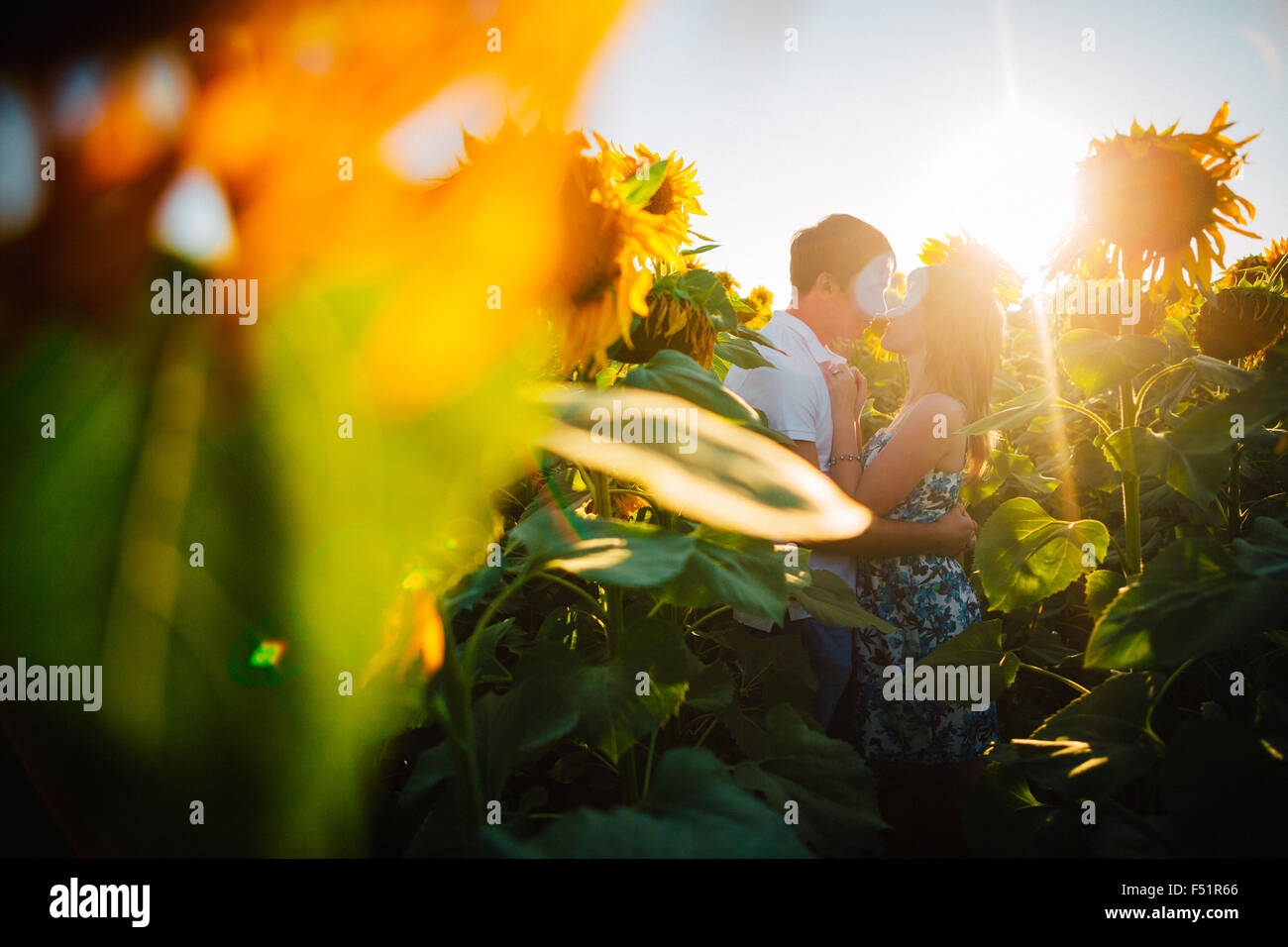 Romantic couple standing and kissing on background summer meadow ...