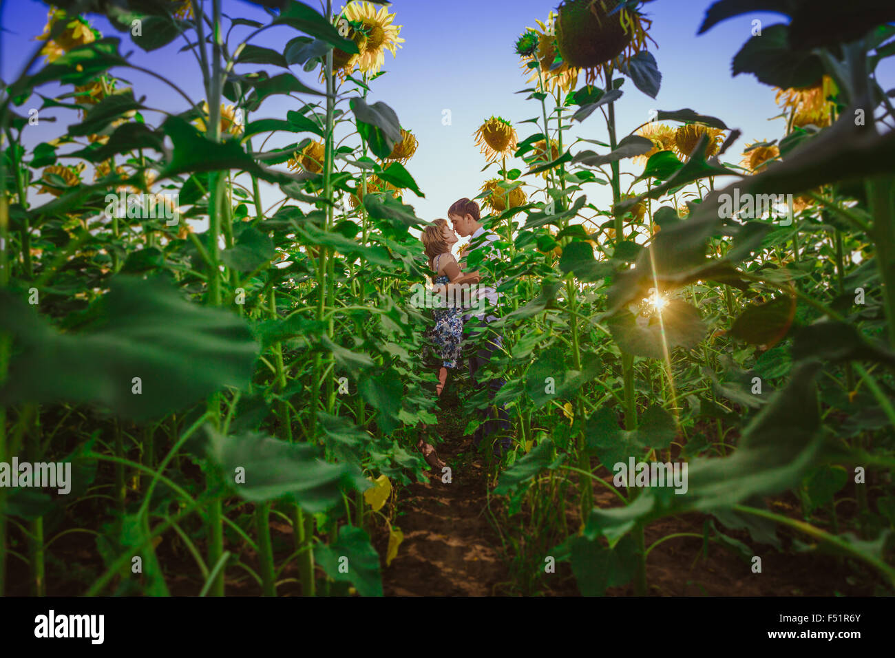 Romantic couple standing and kissing on background summer meadow ...