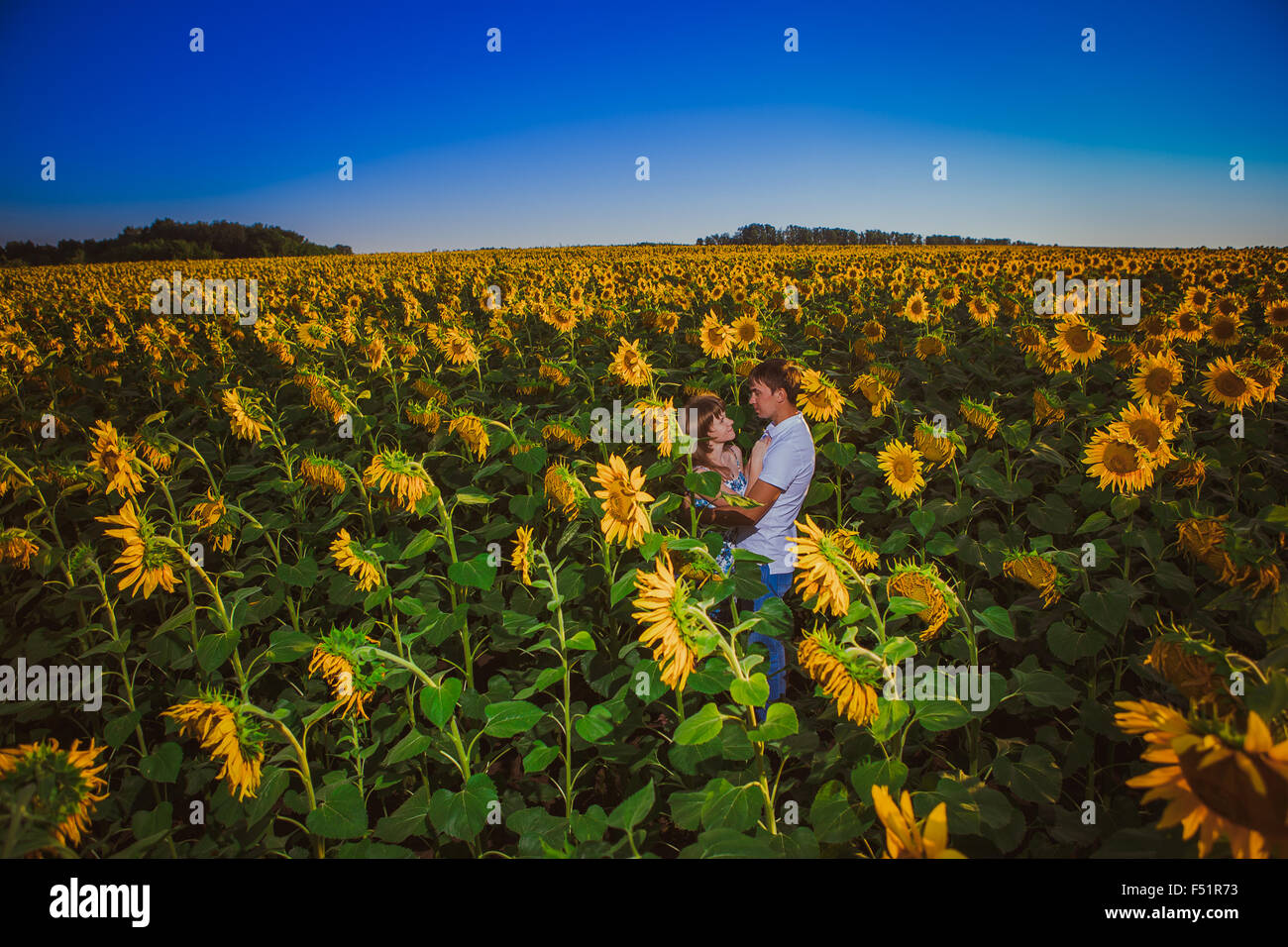 Romantic couple standing and kissing on background summer meadow ...