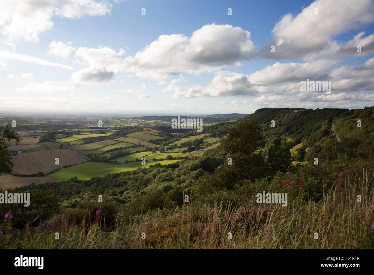 Sutton Bank, also known as Roulston Scar, is a hill in the Hambleton