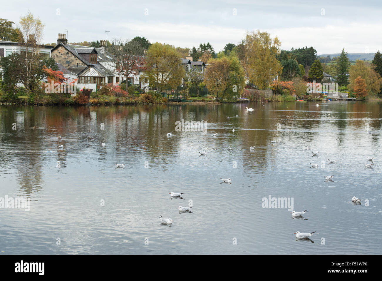 Milngavie hires stock photography and images Alamy