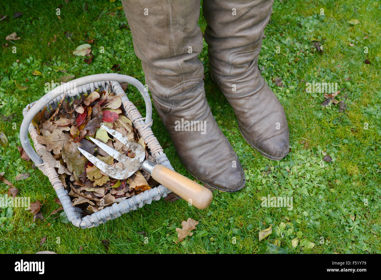Closeup of woman's winter boots next to a basket of autumn leaves with a dirty garden hand fork Stock Photo