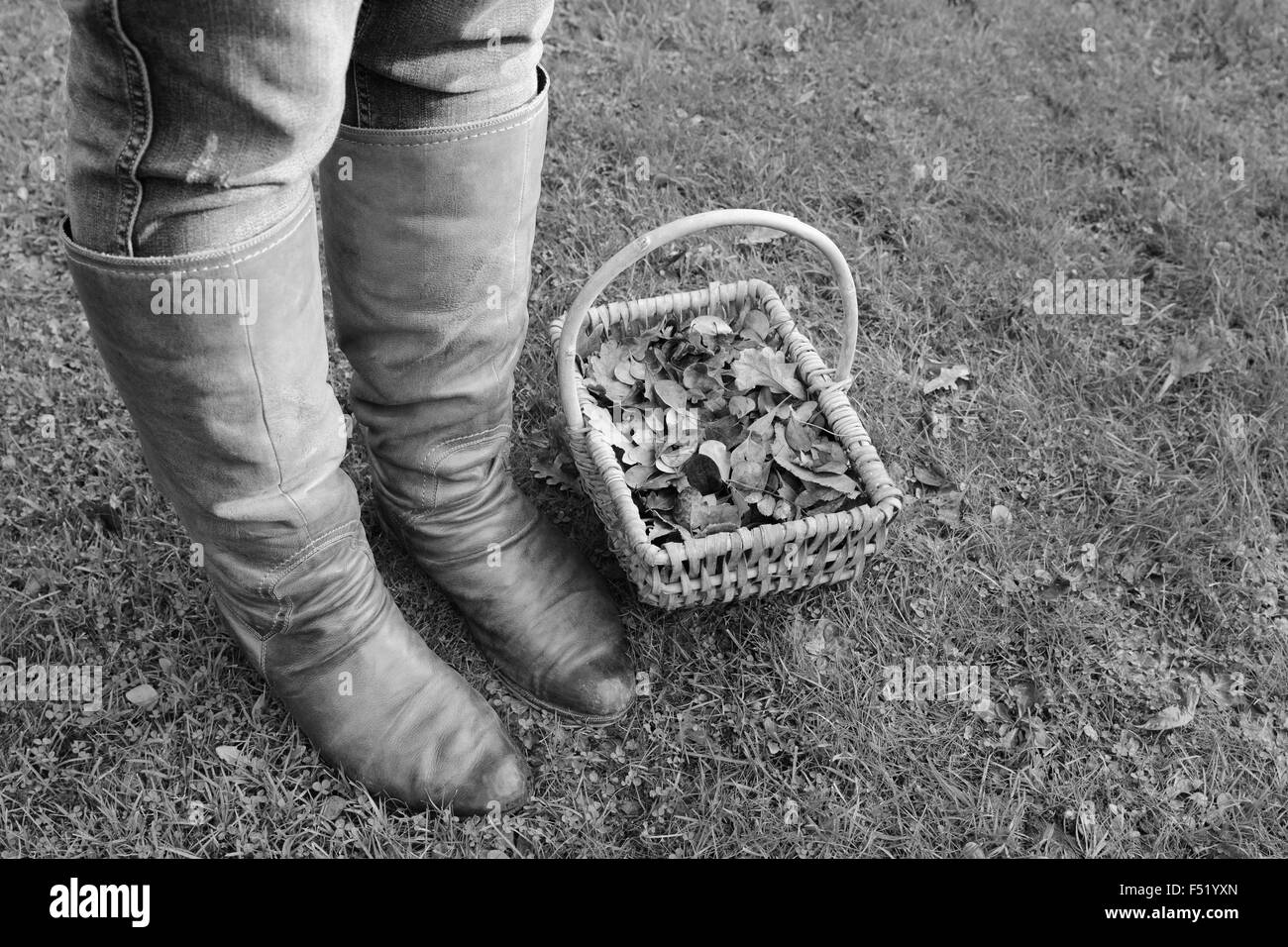 Woman wearing knee high winter boots standing next to a basket of autumn leaves on grass - monochrome processing Stock Photo