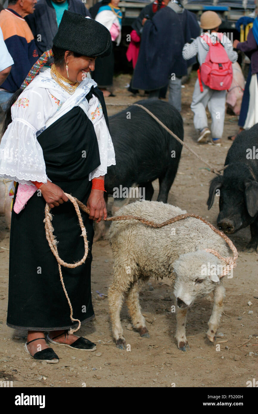 Indigenous Quechua woman selling a sheep at Otavalo market, Ecuador, South America Stock Photo