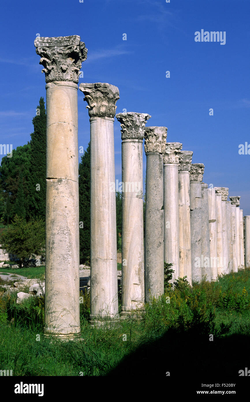 turkey, ephesus, agora, roman corinthian columns Stock Photo