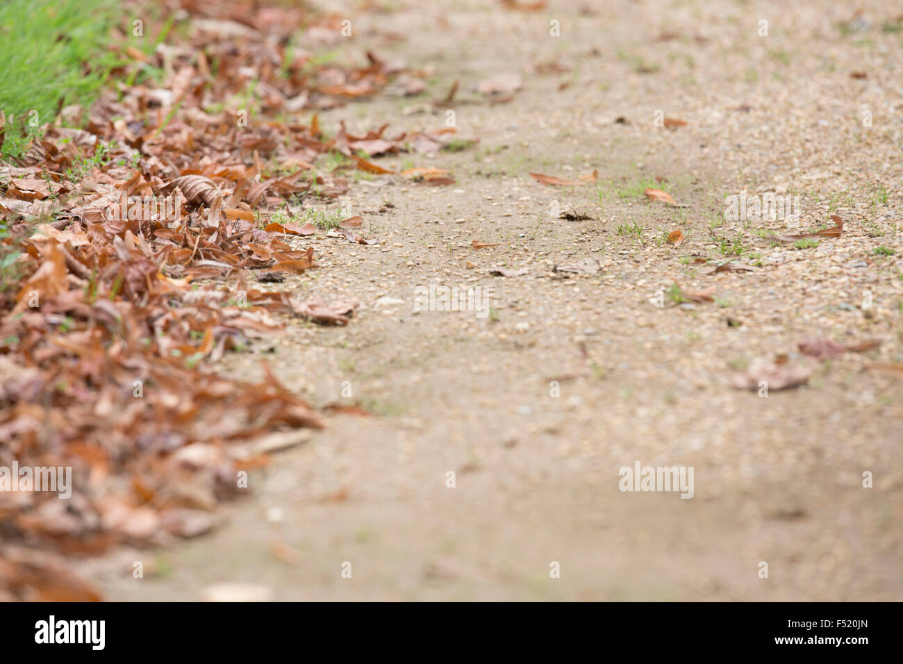 Ground footpath hi-res stock photography and images - Alamy