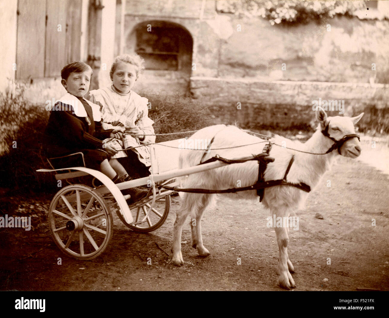 Two children on a small cart drawn by a goat , Italy Stock Photo