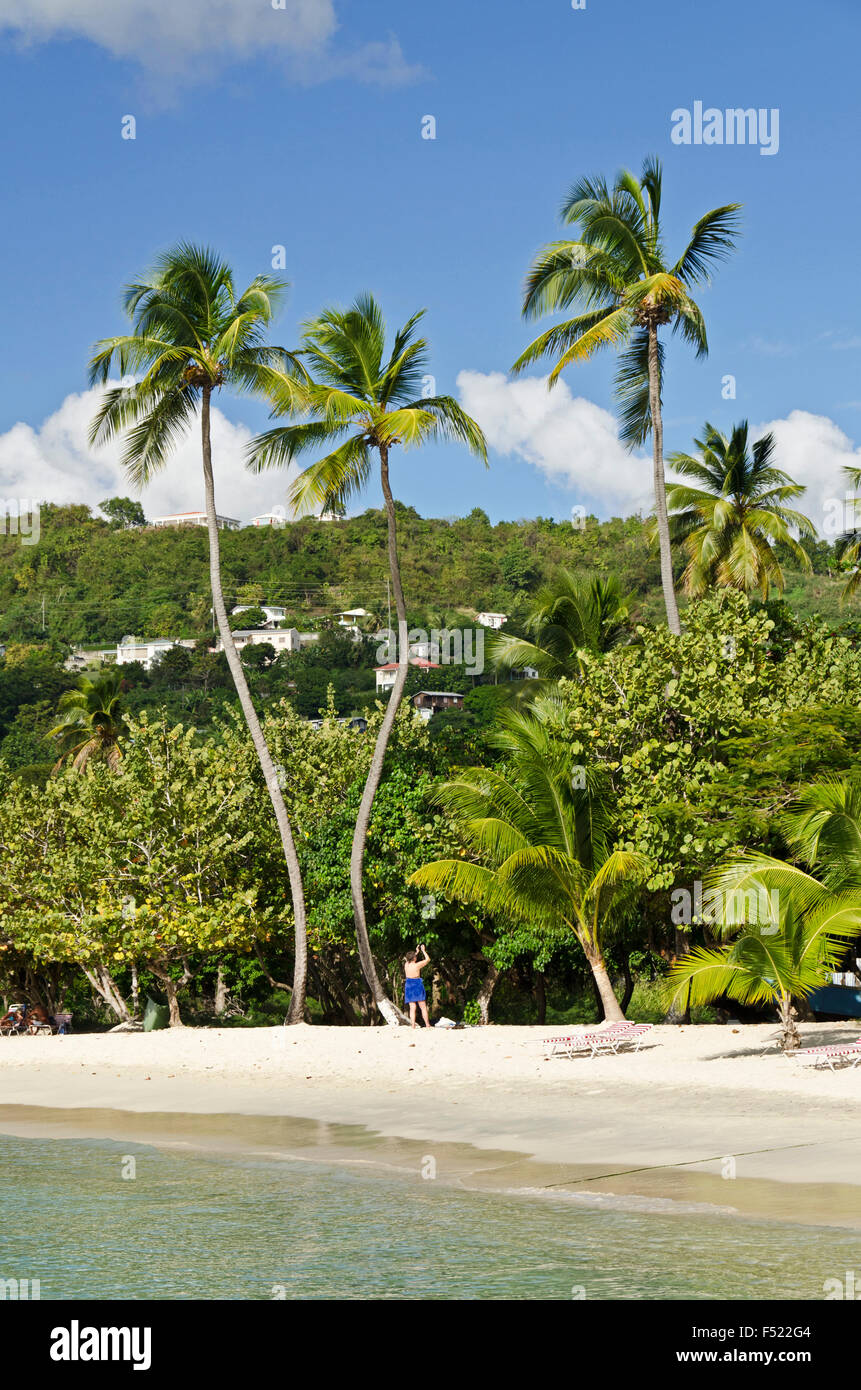 Grenada, Grand Anse Beach Stock Photo Alamy