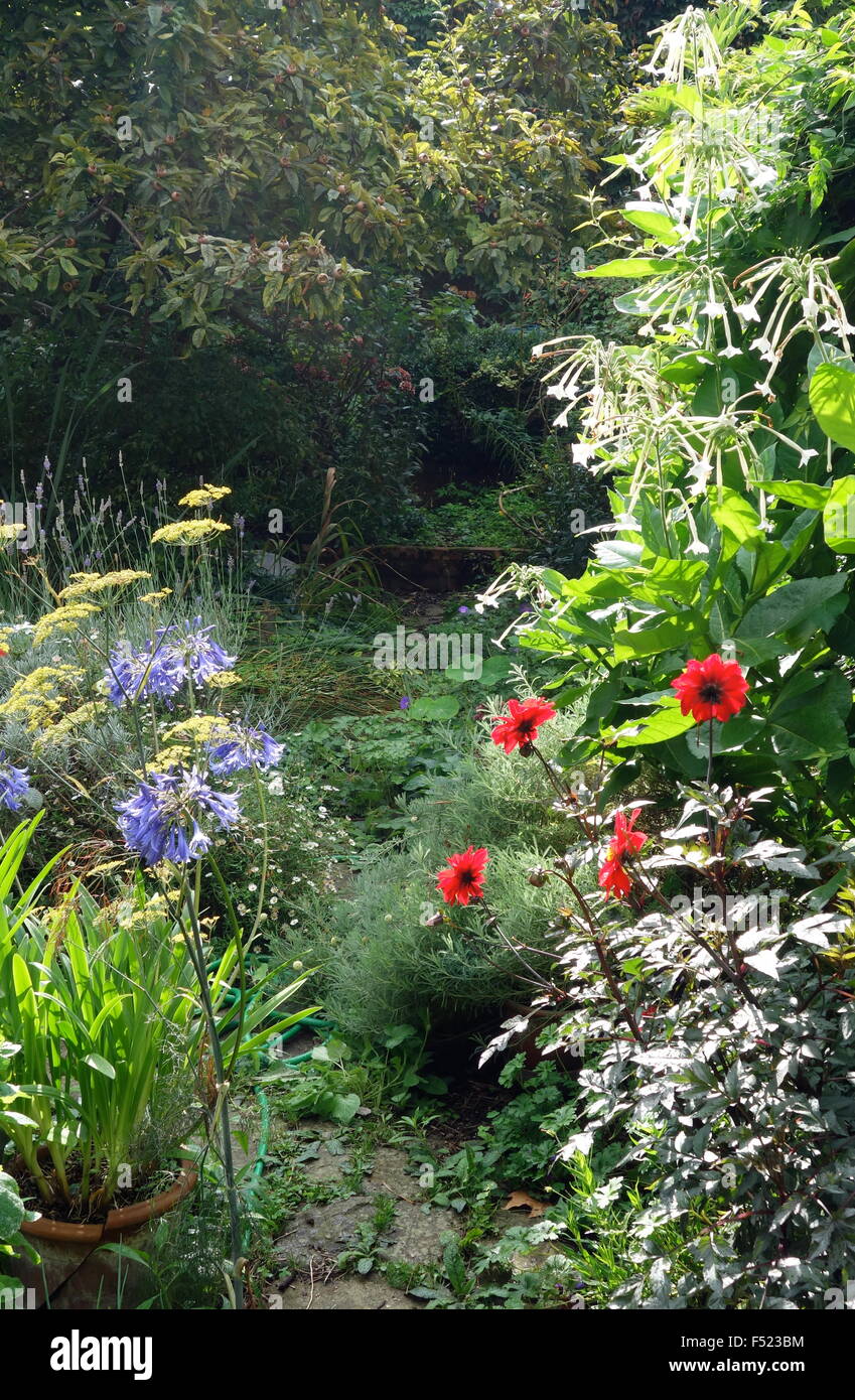 Paved garden hi-res stock photography and images - Alamy, image size:849x1390