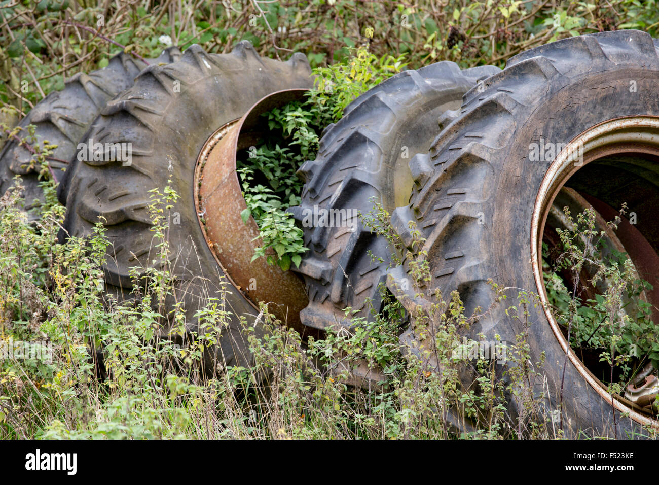 Discarded Tractor tyres. Stock Photo