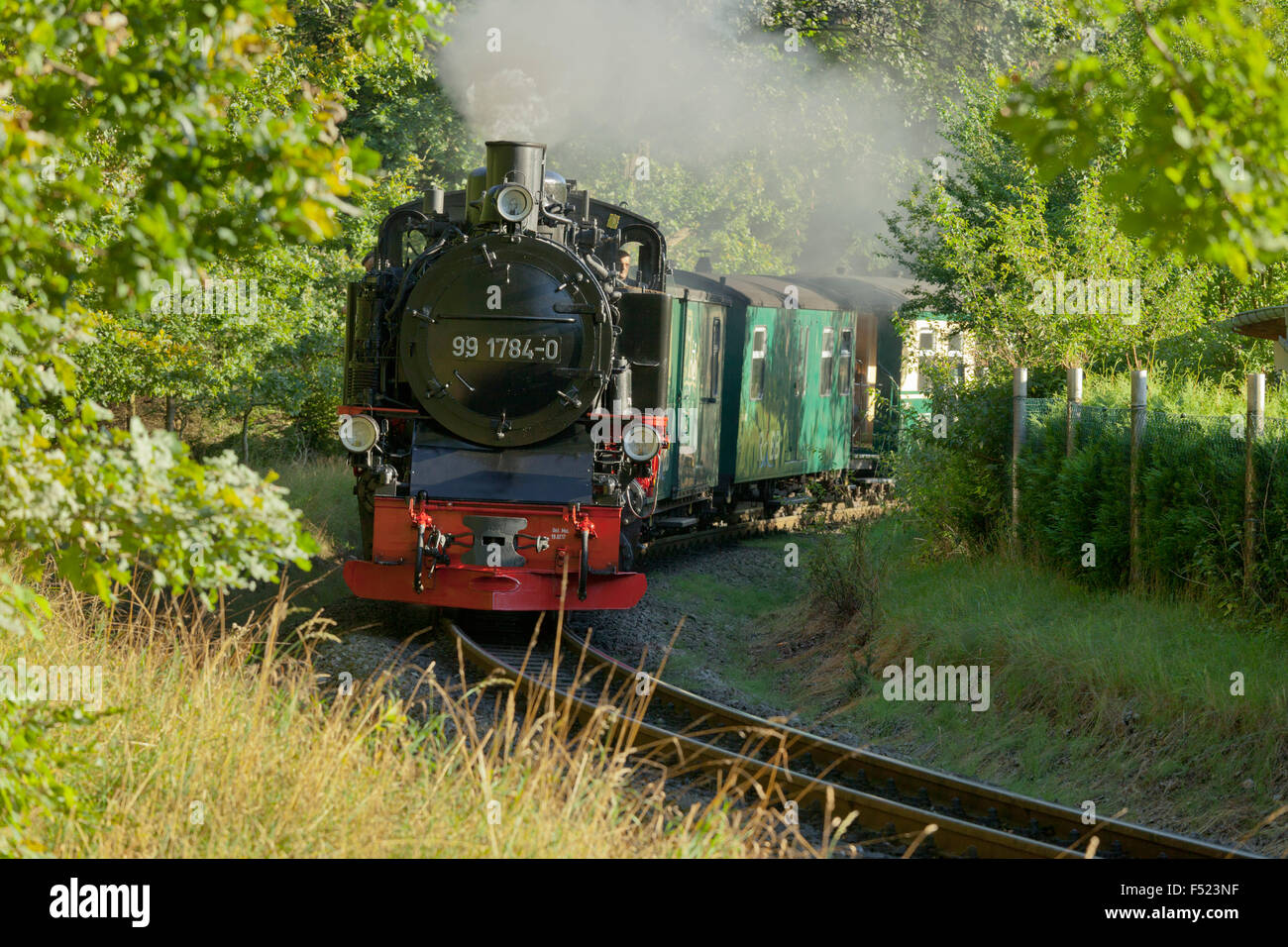 Rasender Roland' steam train close Binz, Island of Rügen, Mecklenburg ...