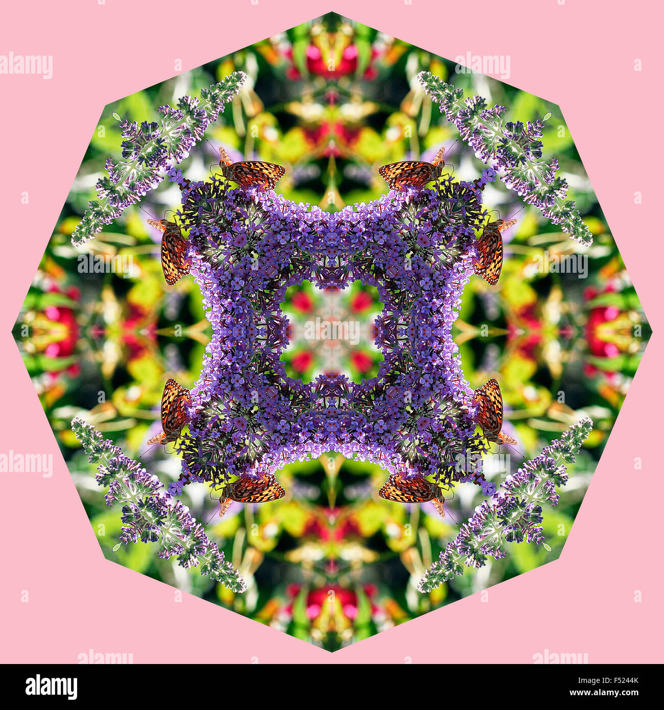 A kaleidoscopic image with butterflies Stock Photo