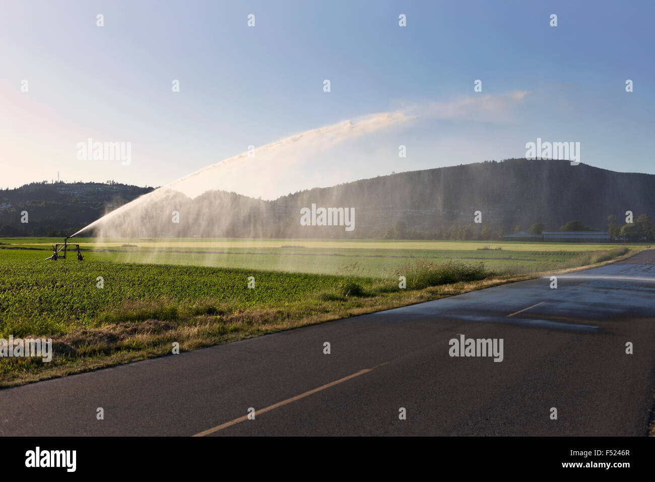 irrigation system watering field, Abbotsford, BC Stock Photo Alamy