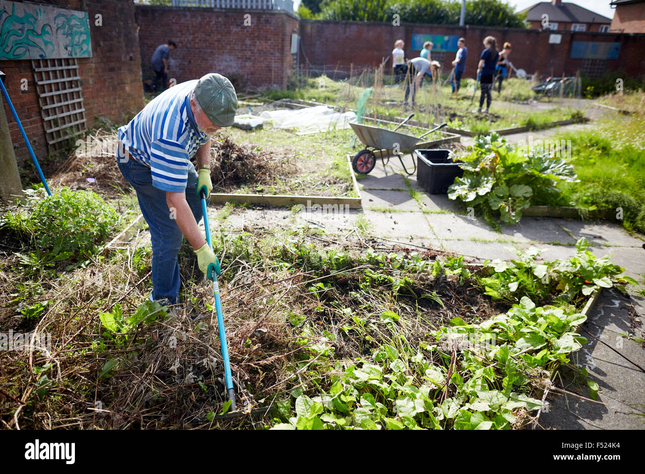 Affinity Sutton's Sunny Brow lounge in Gorton resident working on his allotment space gardening working hard overgrown weeds Stock Photo