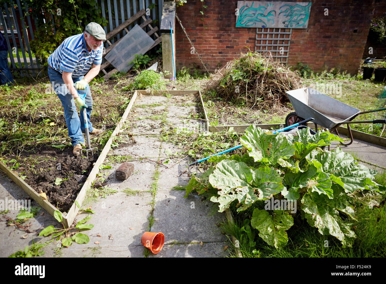 Affinity Sutton's Sunny Brow lounge in Gorton resident working on his allotment space gardening working hard overgrown weeds Stock Photo