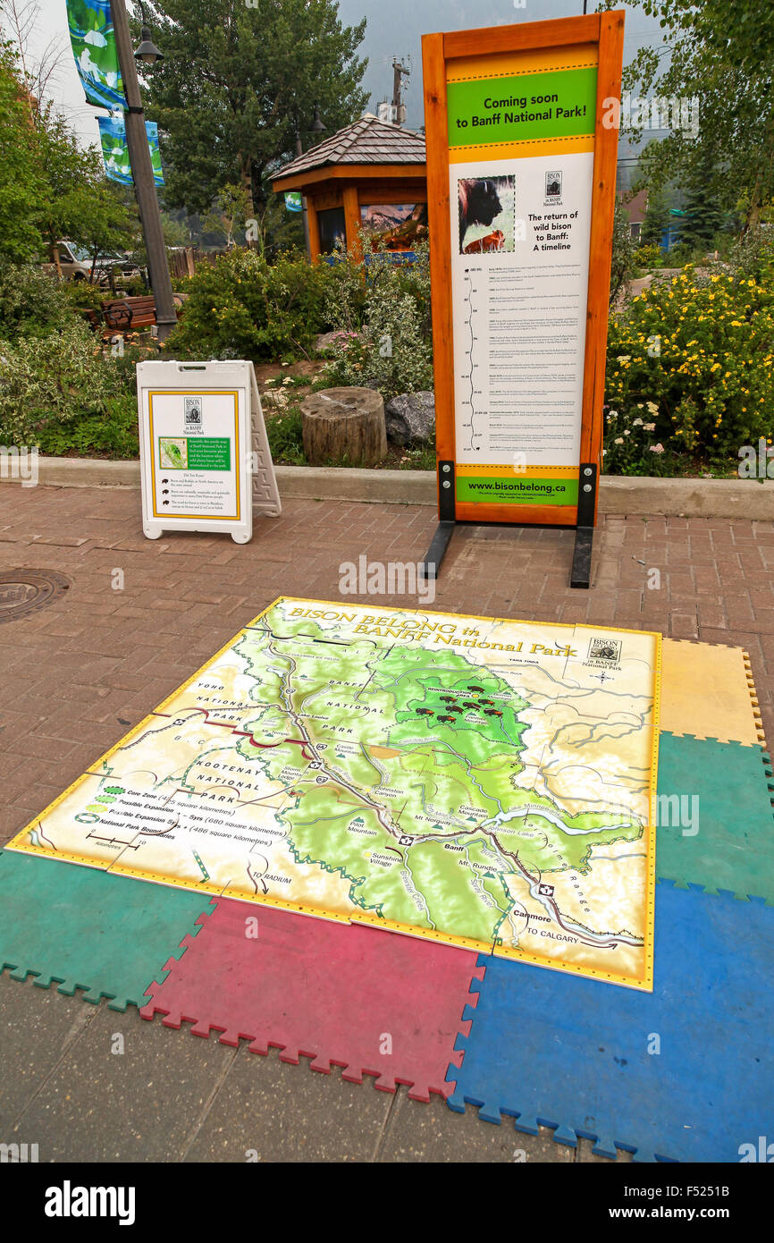 A jigsaw map of Banff National Park on display on the sidewalk highlighting the reintroduction of Bison into the National Park Stock Photo