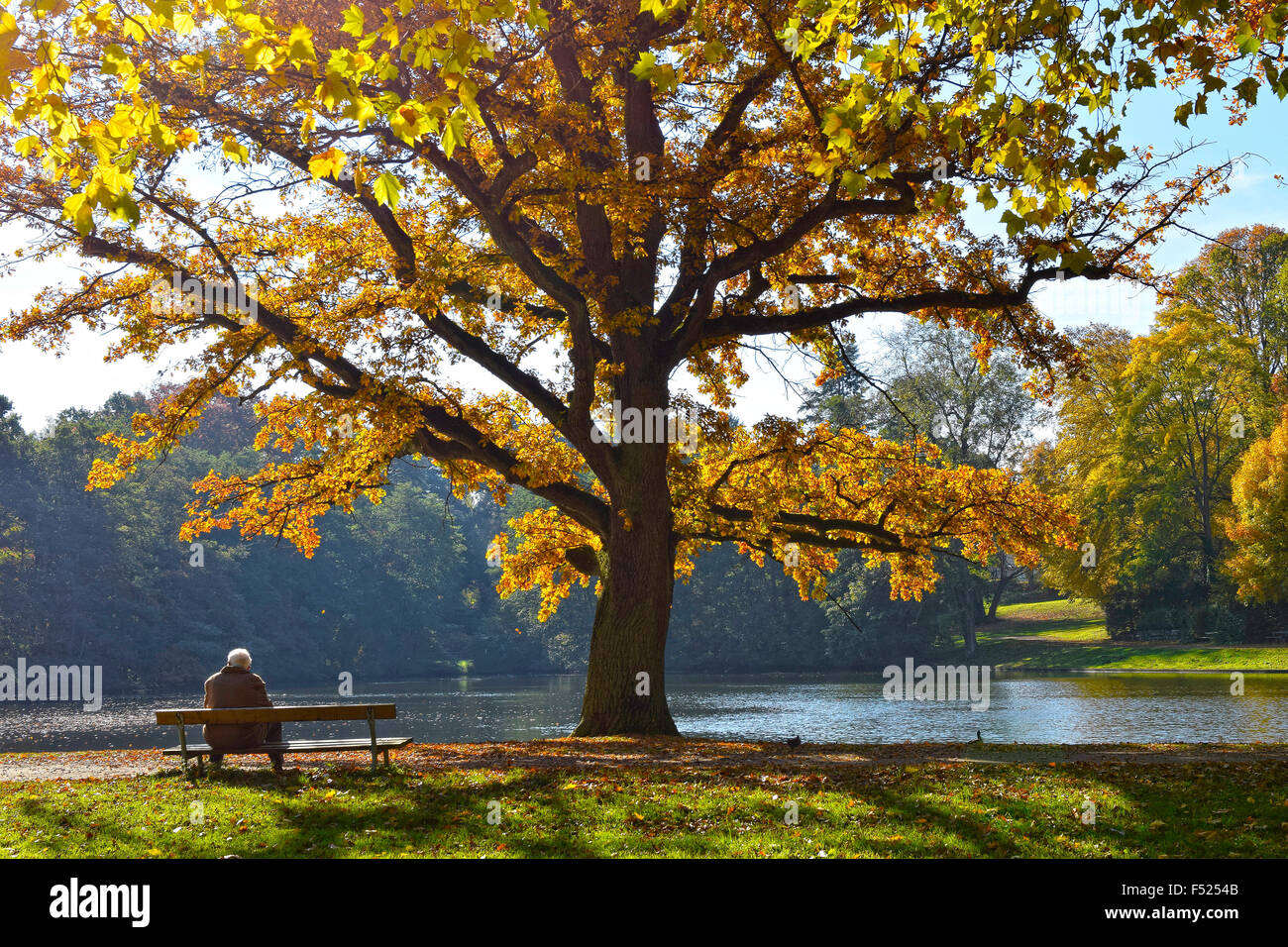 Indian summer, colorful trees in autumn, lake with single man sitting on a bench Stock Photo