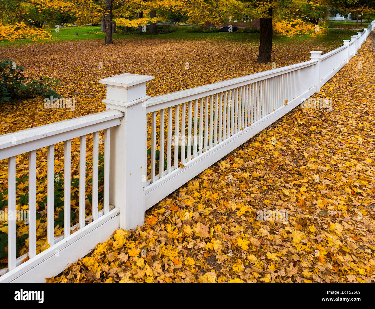 White picket fence gate hi-res stock photography and images - Alamy