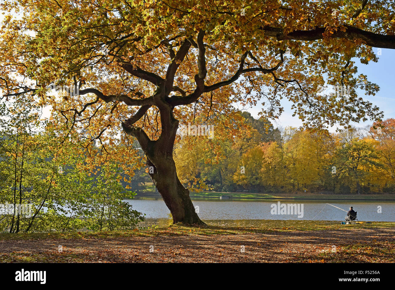 Indian summer, colorful trees in autumn, lake and fishing man Stock Photo