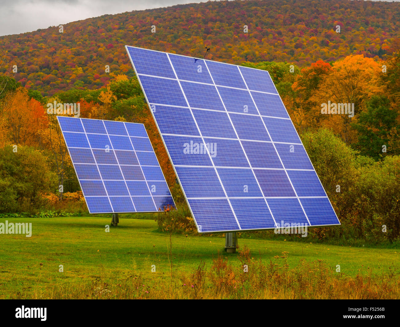 Solar panels in nature surrounded by fall foliage Stock Photo - Alamy