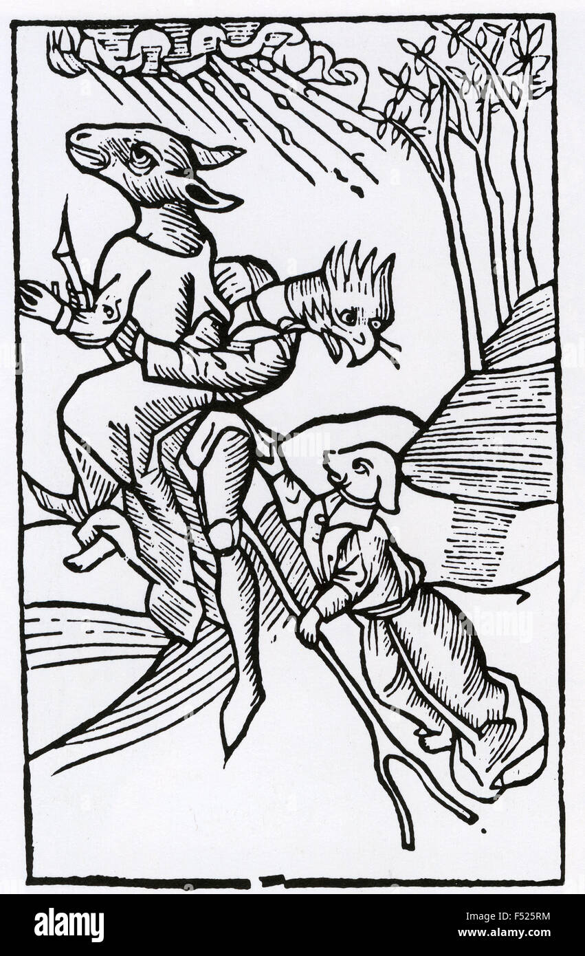 ULRICH MOLITOR (c 1442-1507) Italian lawyer. Woodcut from his 1489 book on witchcraft De Lamiis et Pythonicis Mulieribus (On Witches and Diviner Women) showing three witches as animals flying on a forked branch Stock Photo