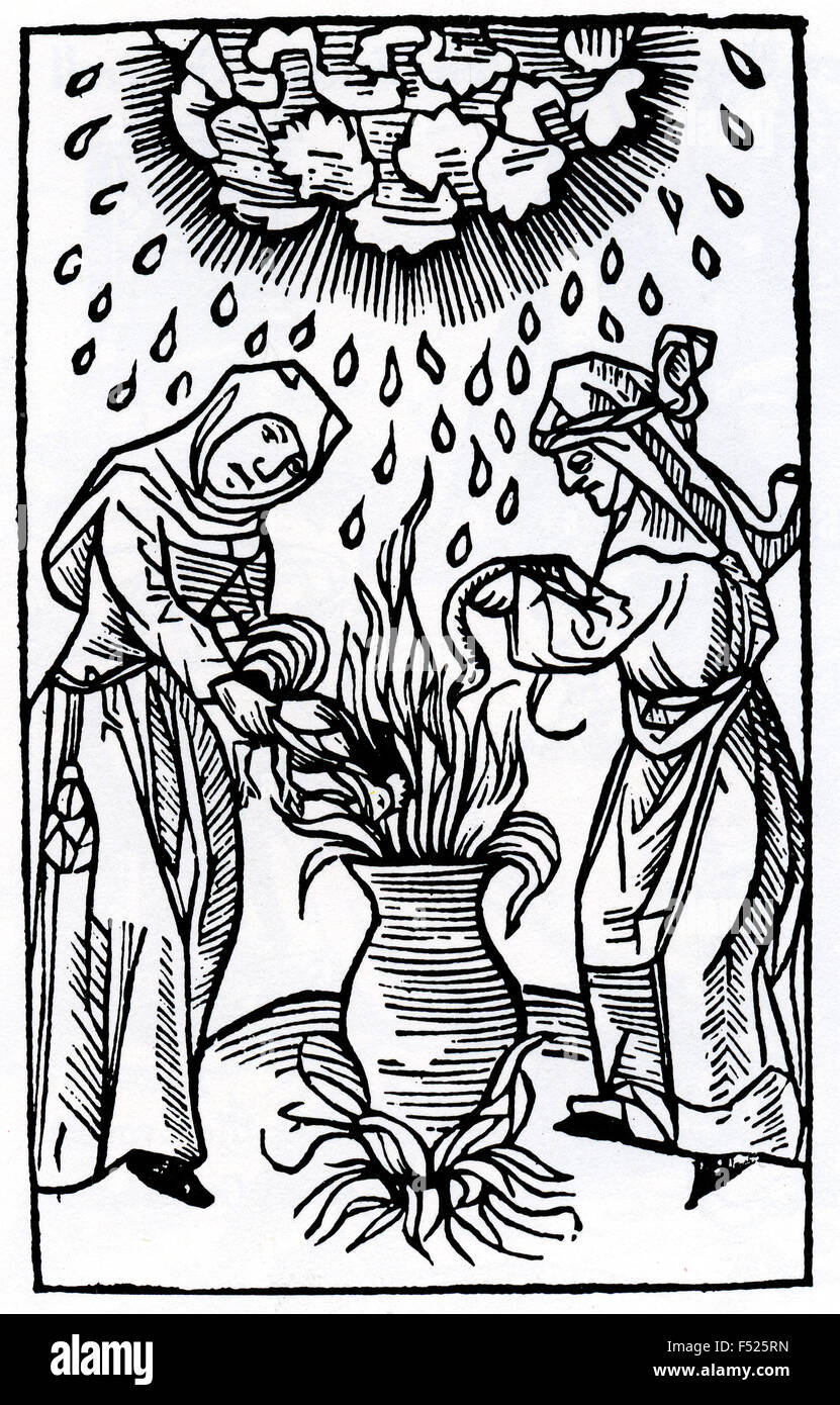 ULRICH MOLITOR (c 1442-1507) Italian Doctor of Law. Engraving from his 1489 book De Lamiis et Pythonicis Mulieribus (On Witches and Diviner Women) showing two witches making a poison brew by adding a cockerel and a snake Stock Photo