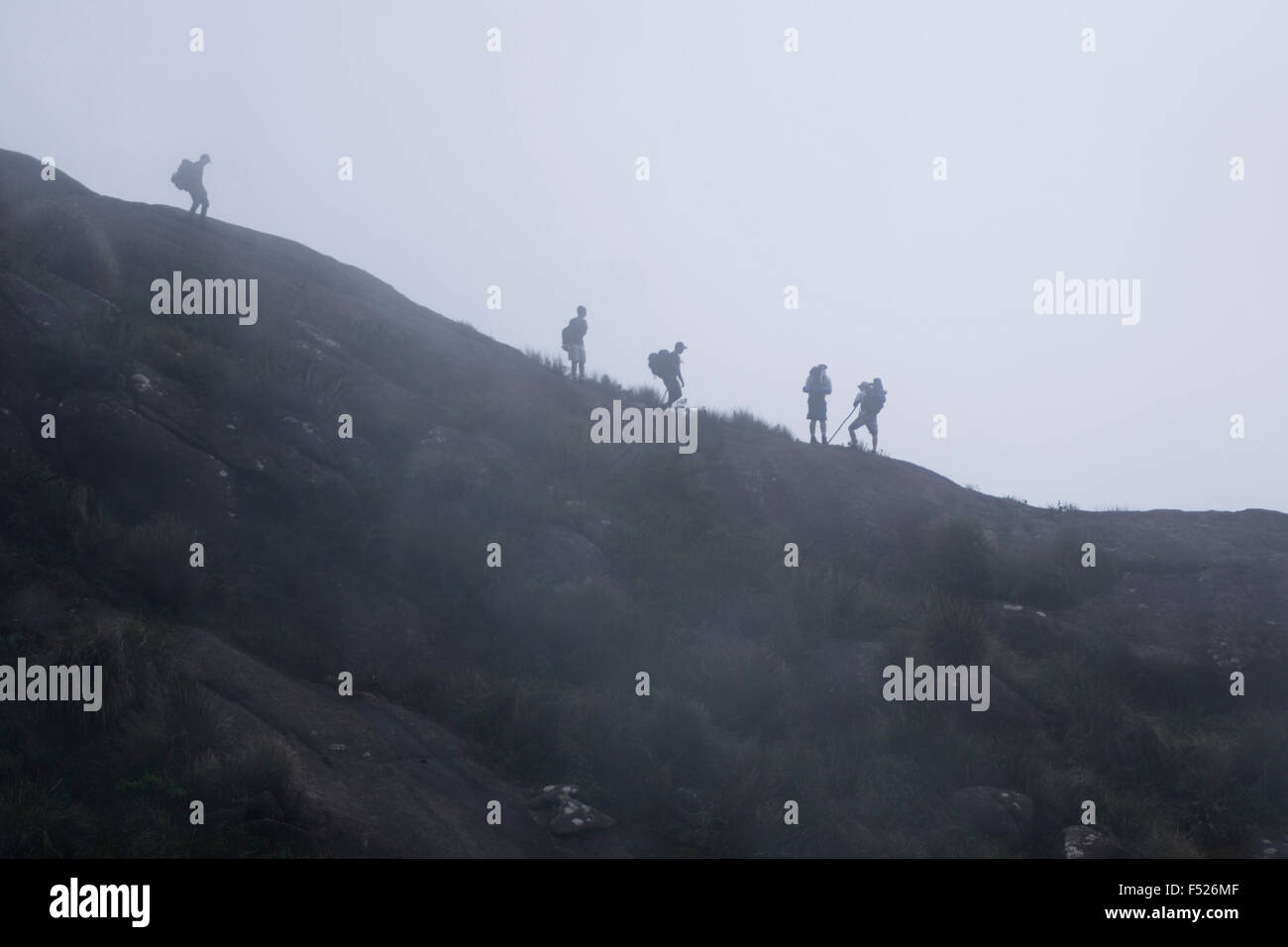 hikers on trail in the mist mountain, Minas Gerais, Serra da Matiqueira, Marins to Itaguaré Mountain Stock Photo
