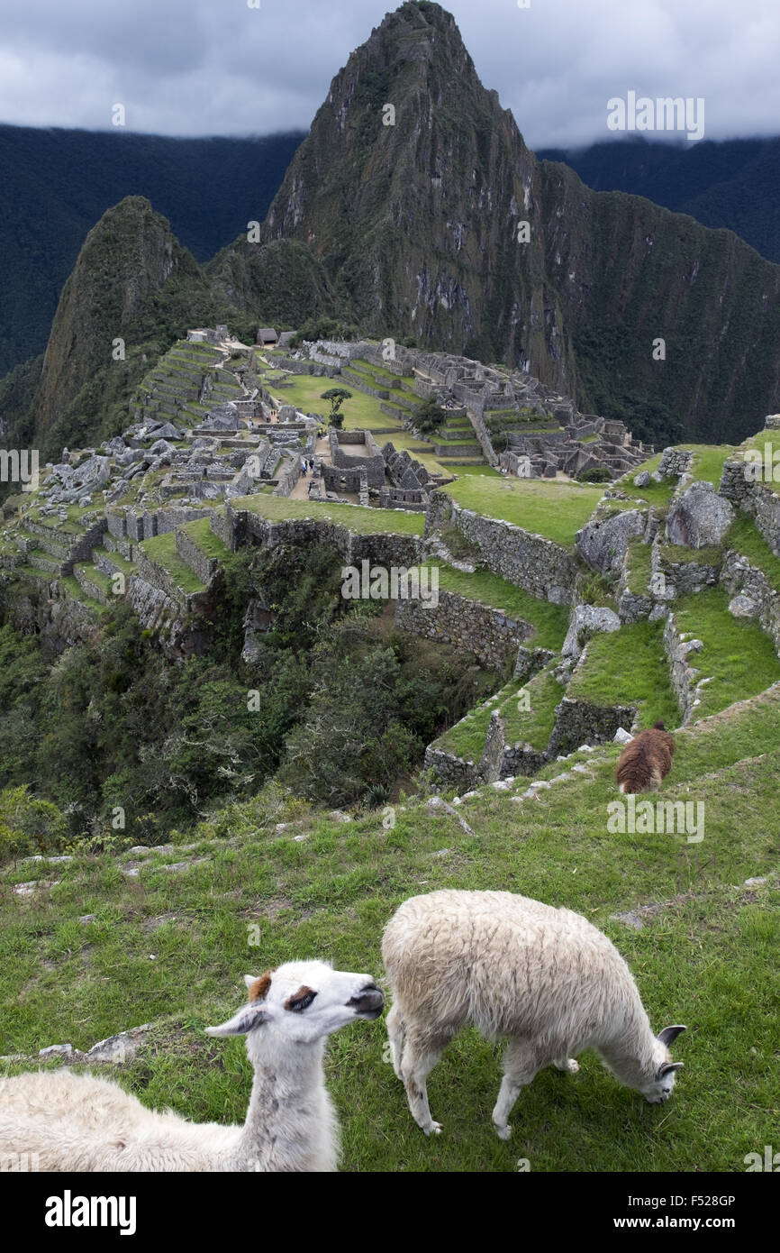 Ruins machu picchu inca period hi-res stock photography and images - Alamy