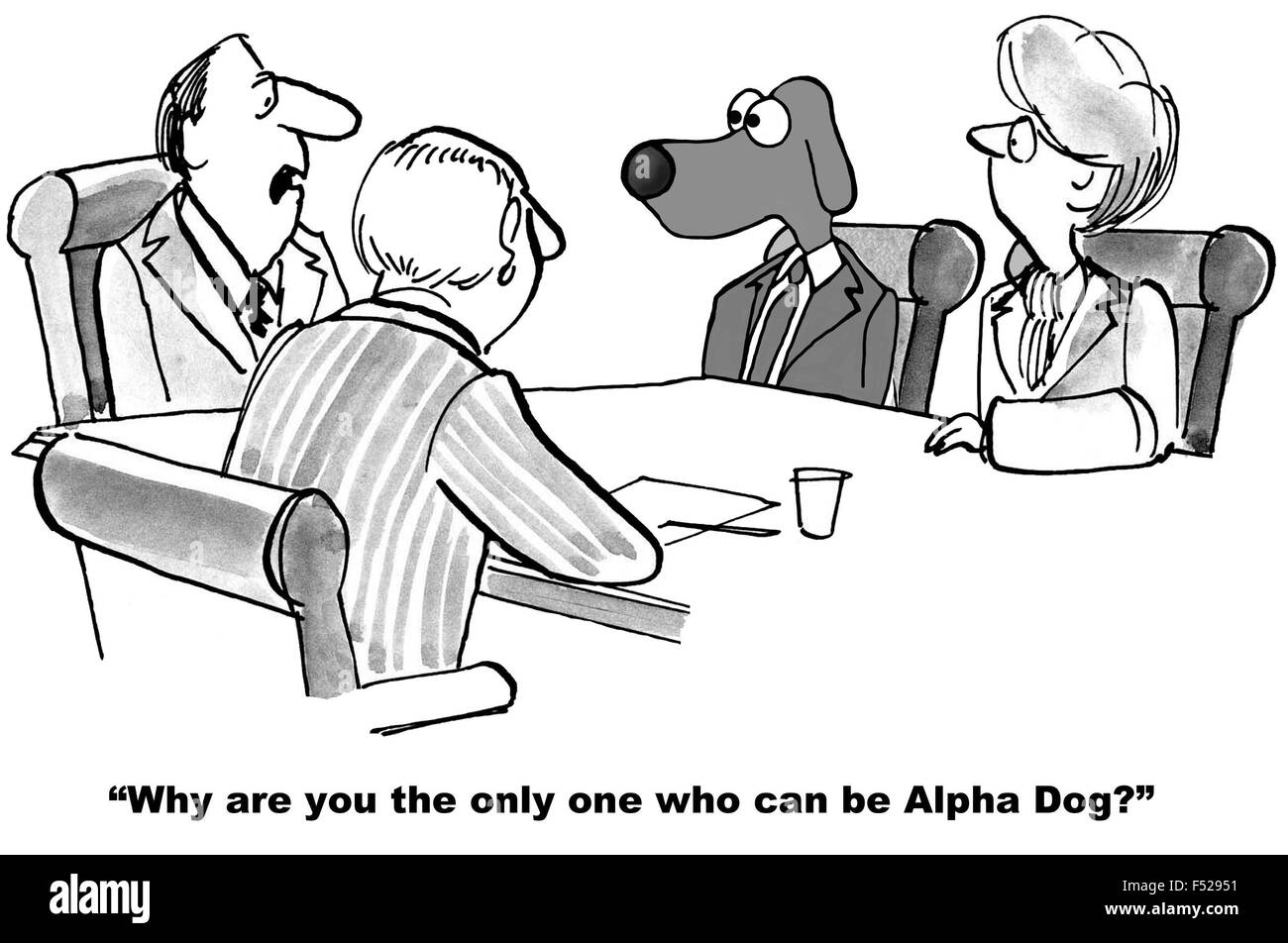 Business cartoon of a meeting, including a dog, 'Why are you the only one who can be Alpha Dog?'. Stock Photo