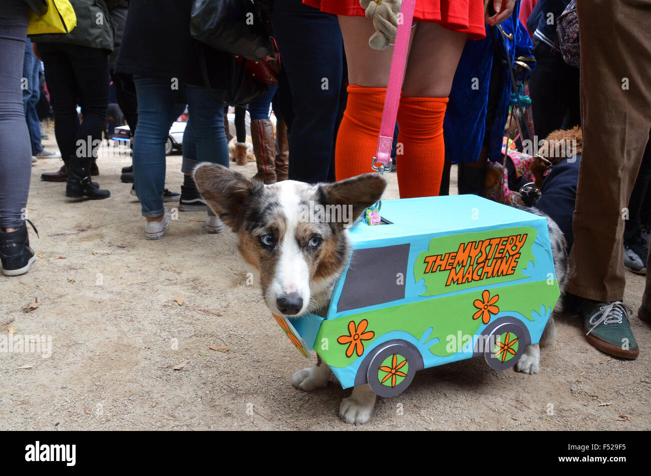 halloween dog parade tompkins square new york 2015 Stock Photo