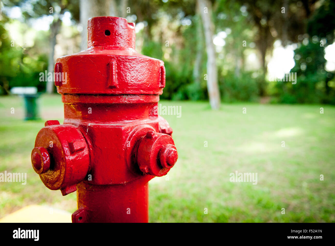 Red hydrant fire detail prevention system with  green out of focus wood in background Stock Photo