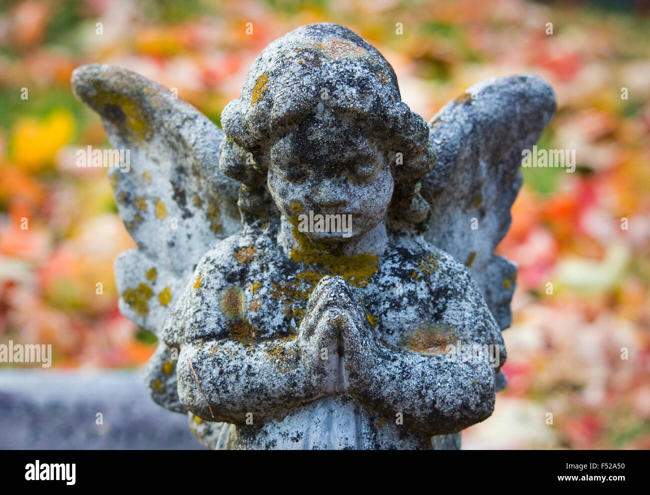 An angel cherub statue. Stock Photo