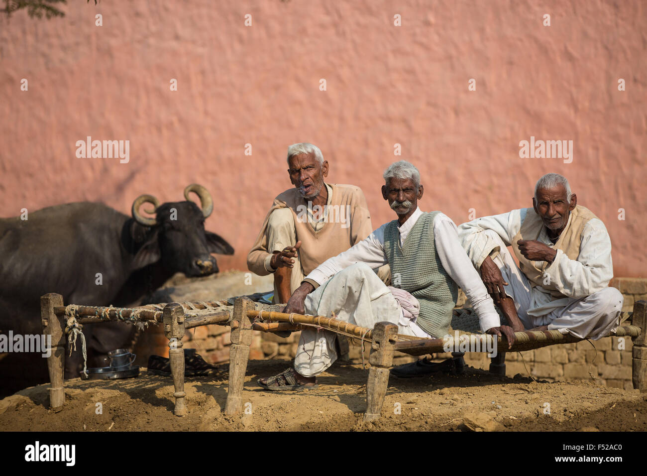 three men with buffalo sitting in front of a house wall, Rajasthan, Stock Photo - Alamy