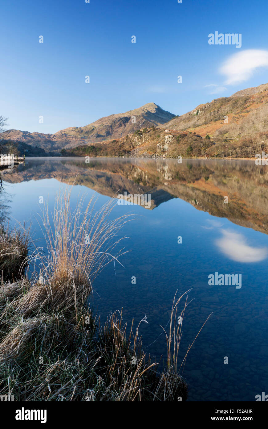 Llyn Gwynant lake with Yr Aran mountain reflected in still water Nantgwynant Snowdonia National Park Gwynedd North Wales UK Stock Photo