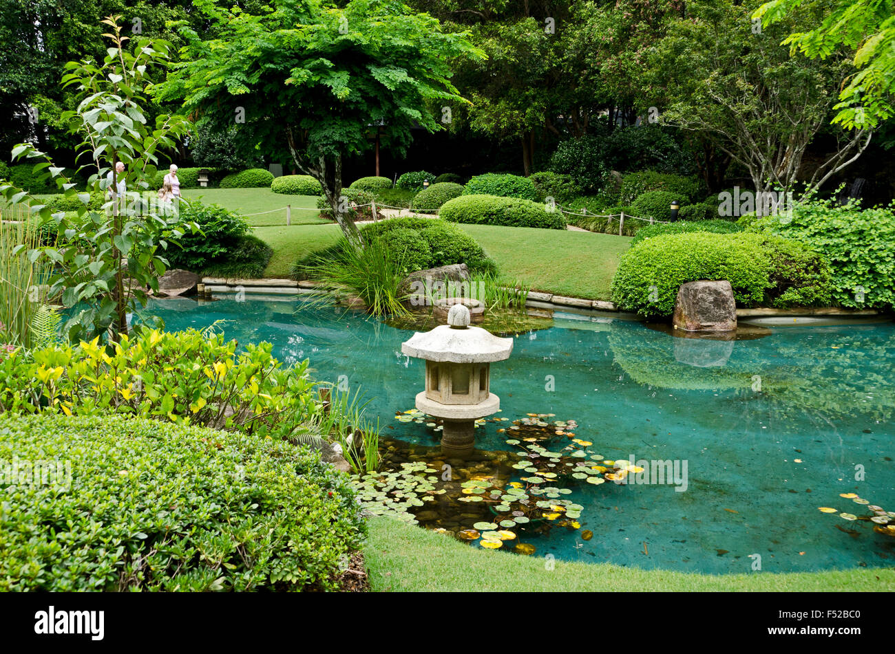 Australia, Brisbane, botanical garden, pond Stock Photo Alamy