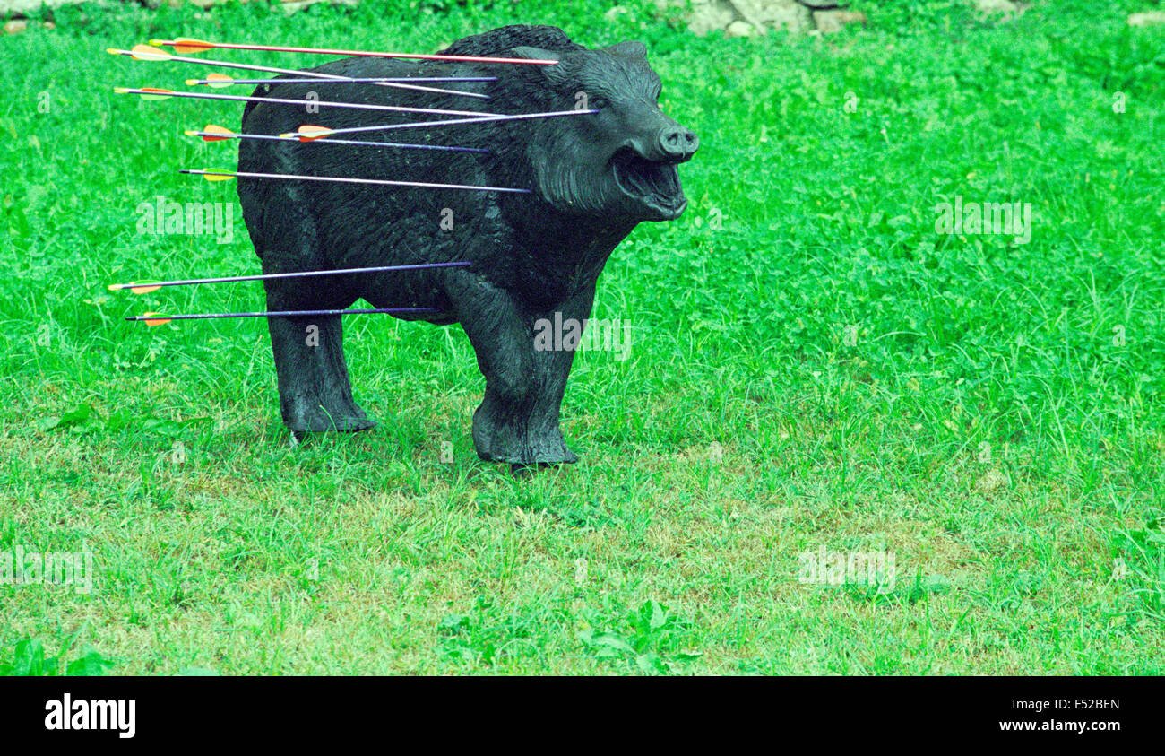 Wild Boar hit the Target with Arrows Stock Photo