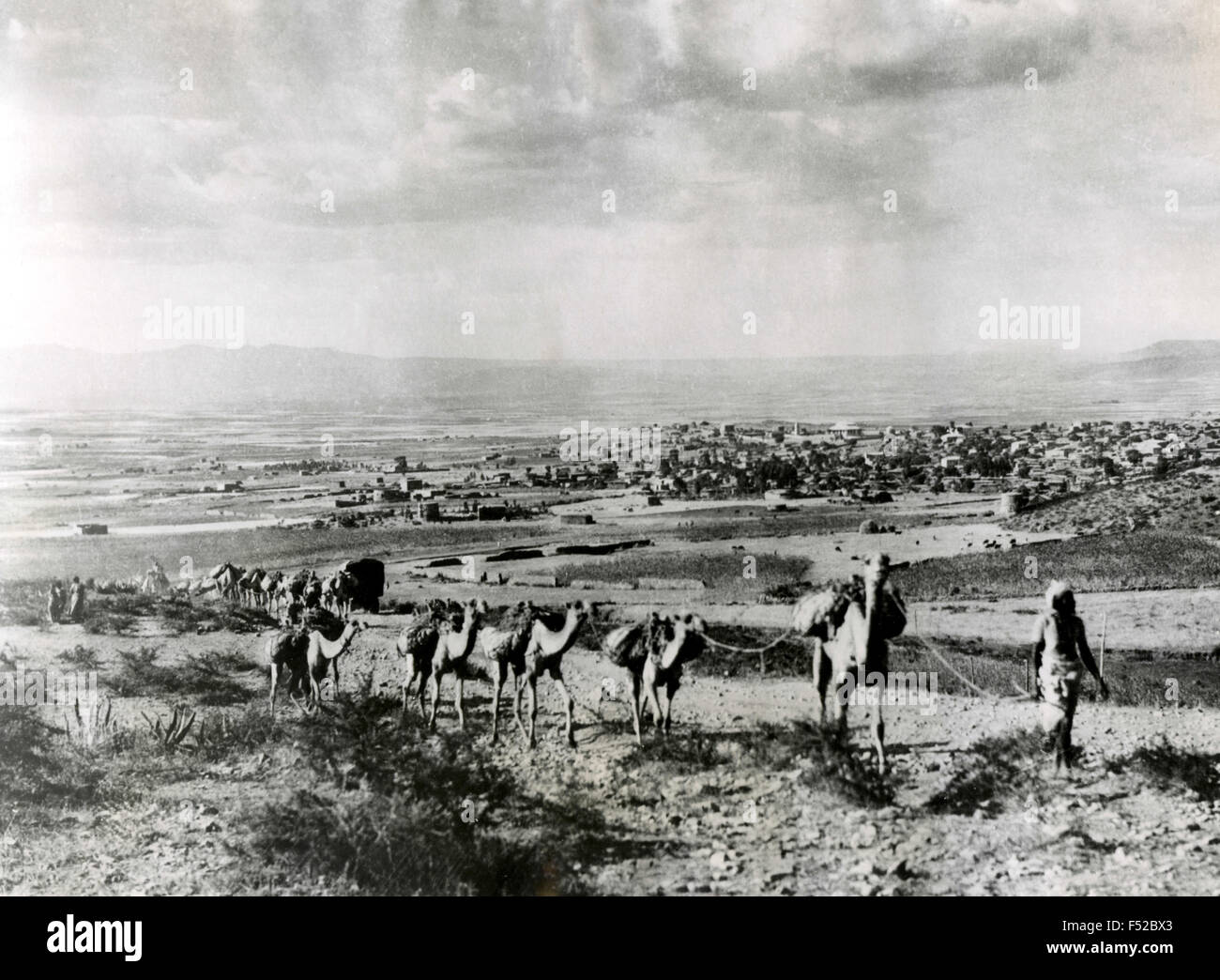 Italian troops camel leave Makale to supply the troops penetrated in the north, Ethiopia Stock Photo