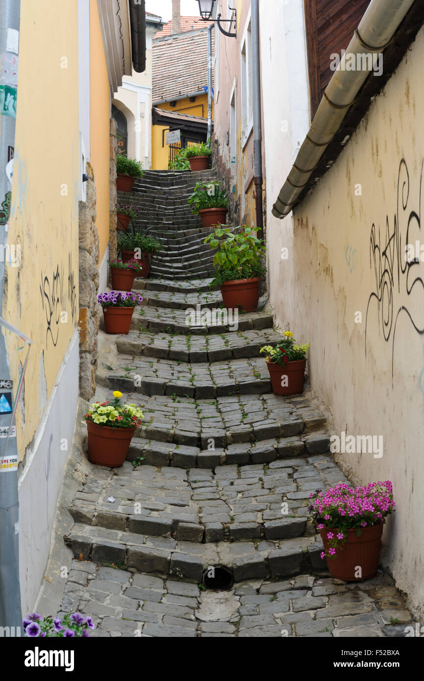 A series of steep steps between houses in the village of Szentendre, Hungary. Stock Photo