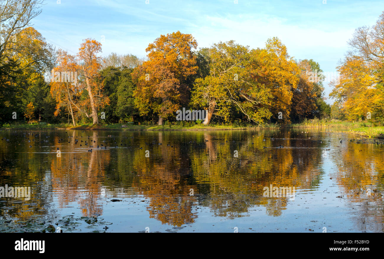 Autumn colors in the English landscape park at Duivenvoorde Castle