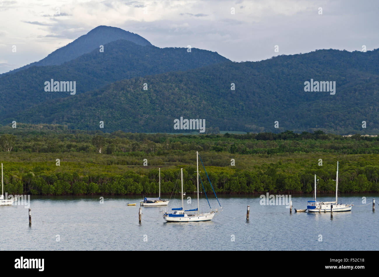 Australia, Cairns, riverscape, Stock Photo