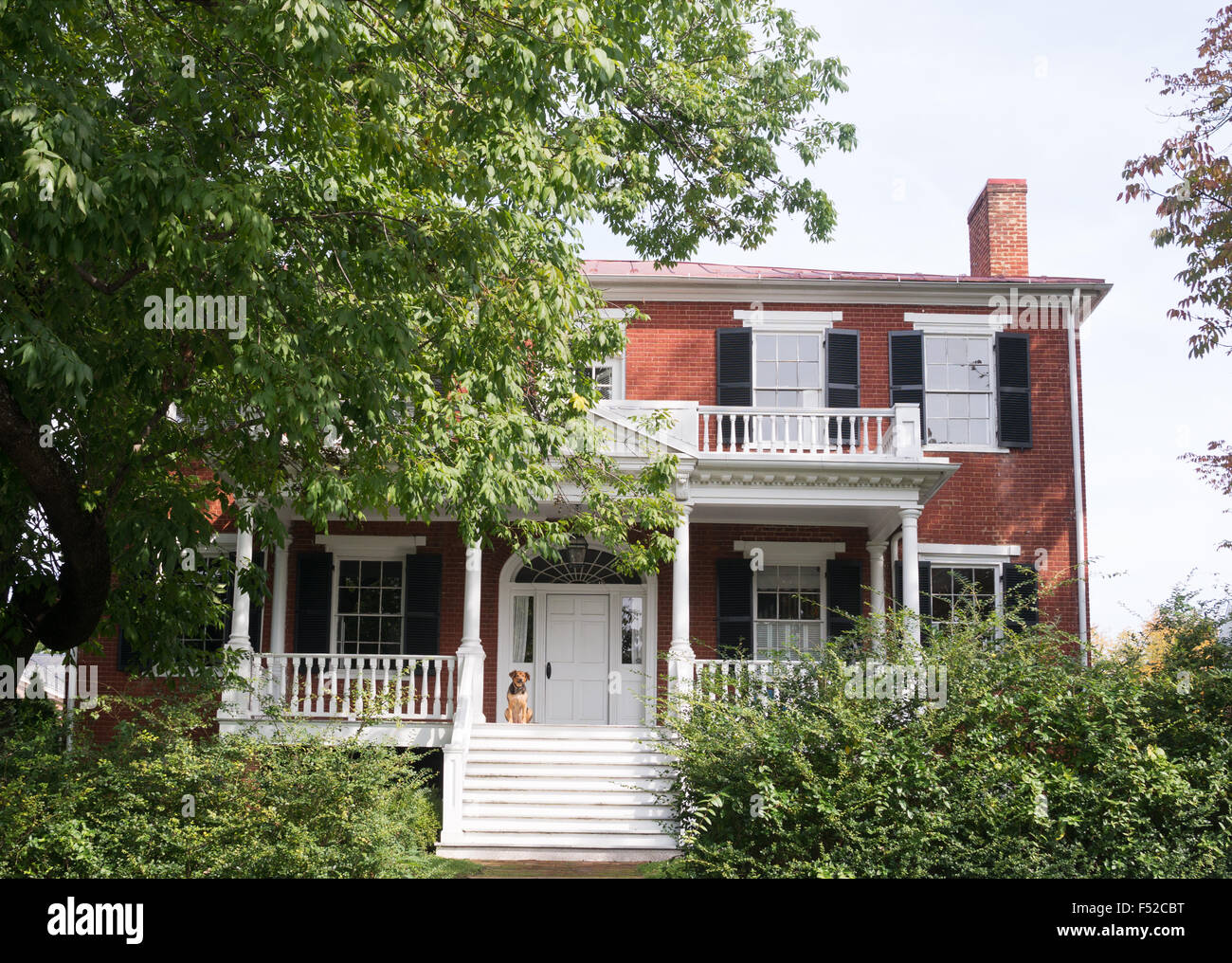 Colonial style house with dog on veranda, Charlottesville, Virginia, USA Stock Photo