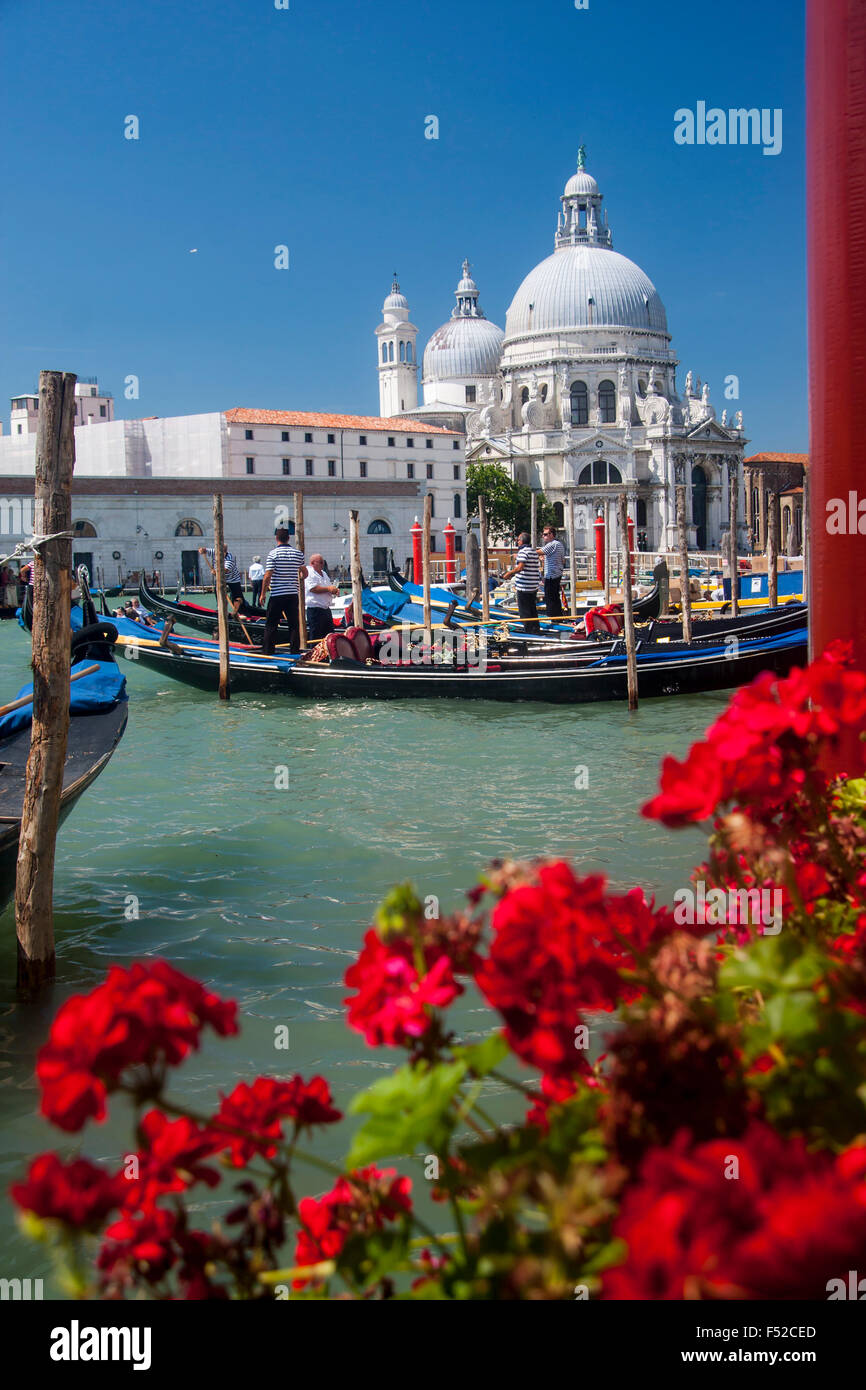 Santa Maria della Salute Grand Canal flowers in foreground Venice Veneto Italy Stock Photo