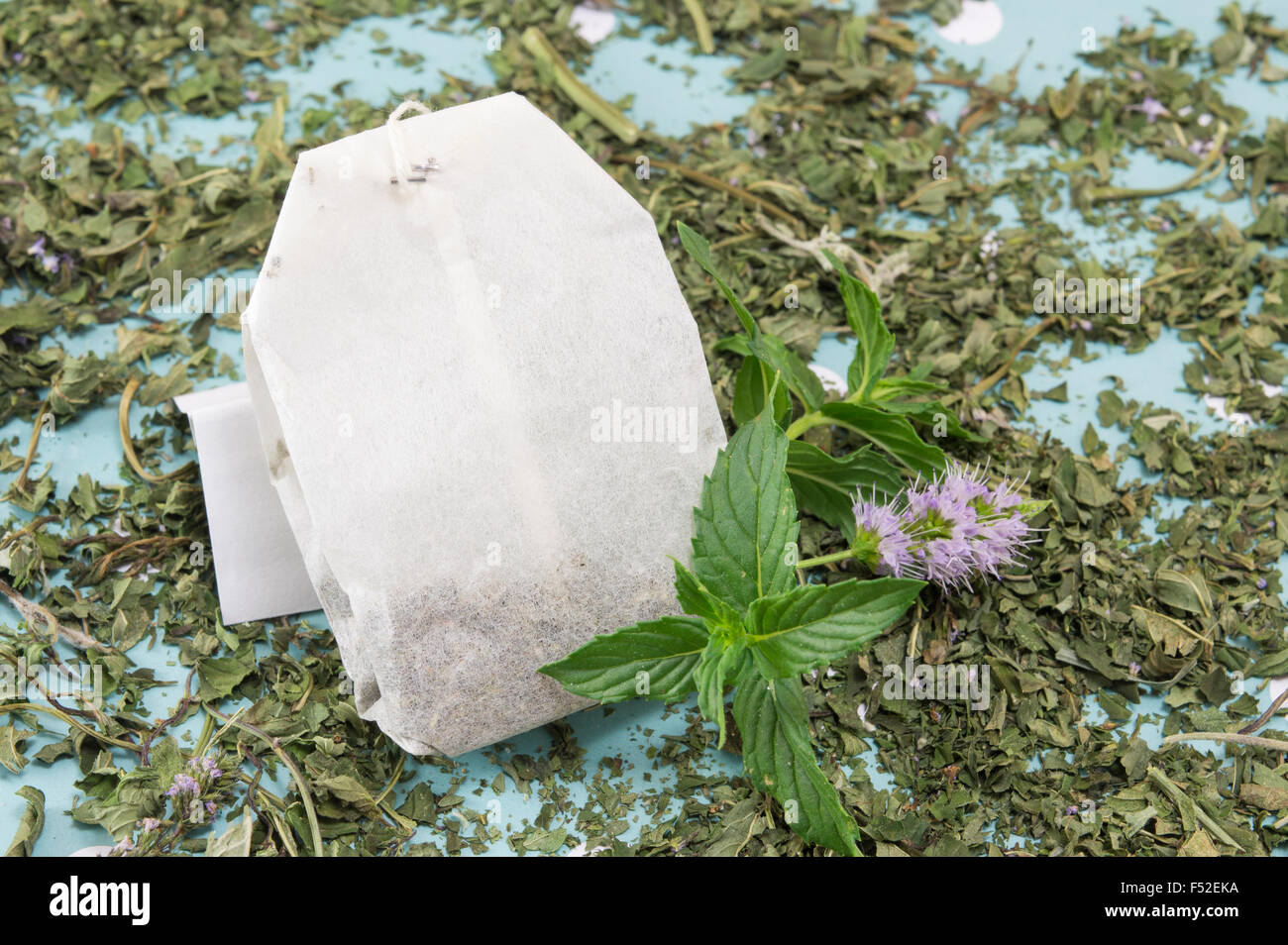 Mint tea bag and fresh mint plant on the table Stock Photo
