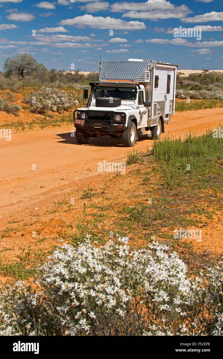 Land Rover motorhome on red dirt road hemmed with wildflowers, Olearia pimeleiodes, white daisies in outback Australia. Stock Photo