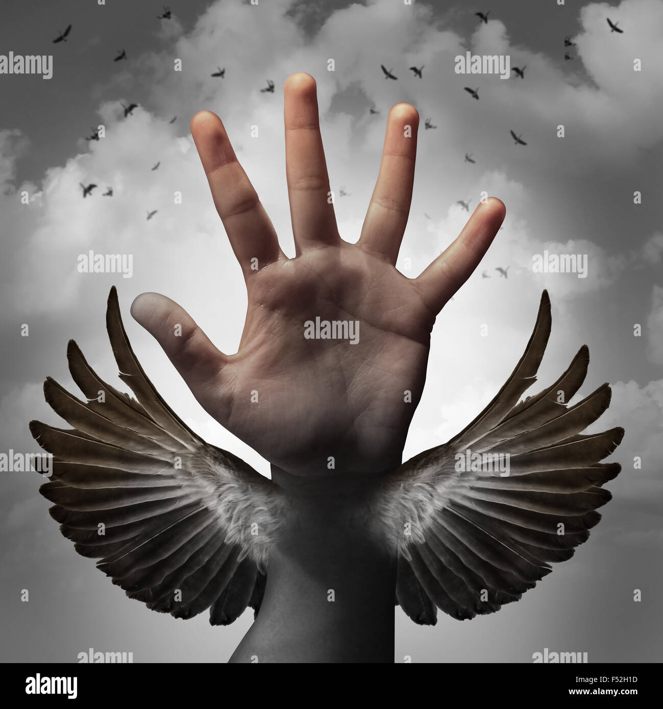 Build self confidence concept and believing in inner potential as a human hand transforming into a bird wing as a metaphor for learning and career education to gain freedom through education. Stock Photo